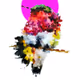 colorfull mighty humming bird