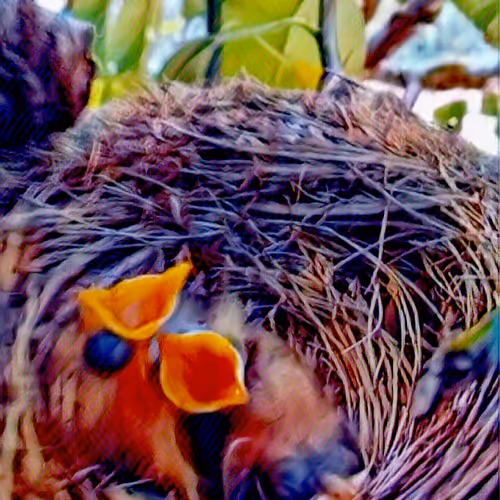 Hungry birds - old