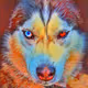 huskey V4