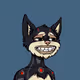 Hyper Cats