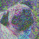 HypnoDogs