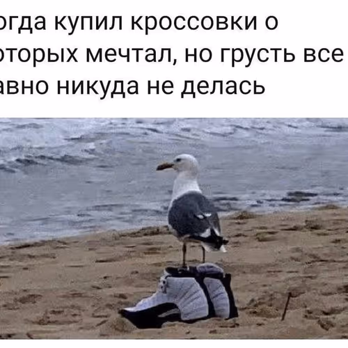 hzvashe