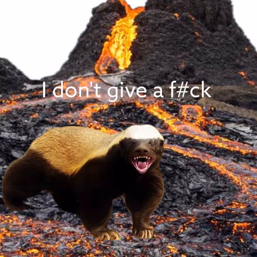 I don't give a F#ck