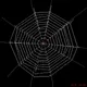 I F*****g Hate Spider Webs