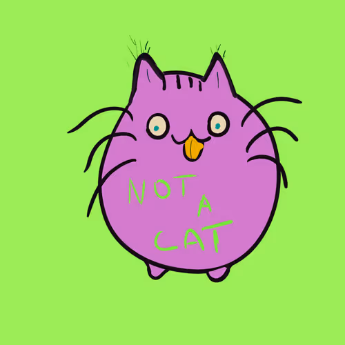 I M NOT A CAT