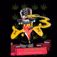 I'm NOT a Drug Dealer.