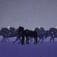 I No Longer Chase