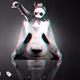 I See Pandas