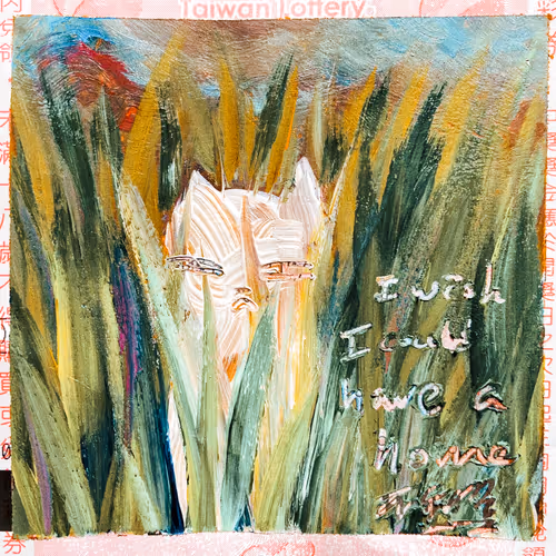 I wish I could have a home  {A Computer Perspective }