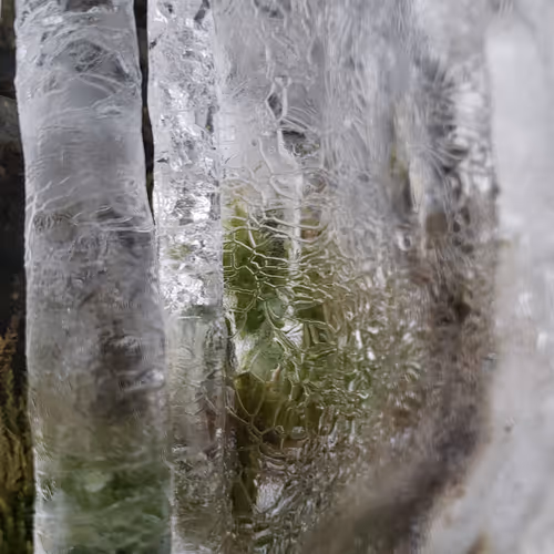 Ice on Moss