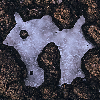 Ice Photography