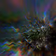 Ice on Moss - Effects