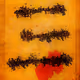 iChing Trigrams
