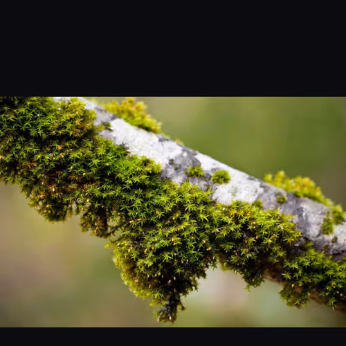 Ideas eco smart enviornments