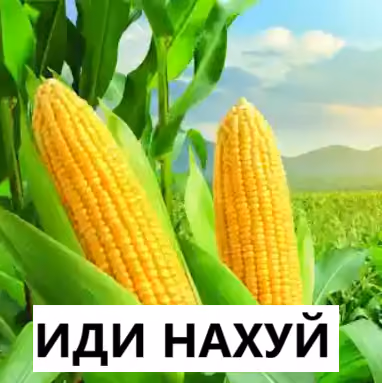 idisudadadad