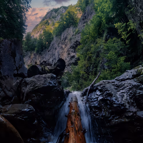 Idyllic Landscapes by Alexandru Chitu - old