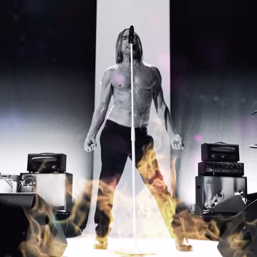 Iggy Pop x Iconography