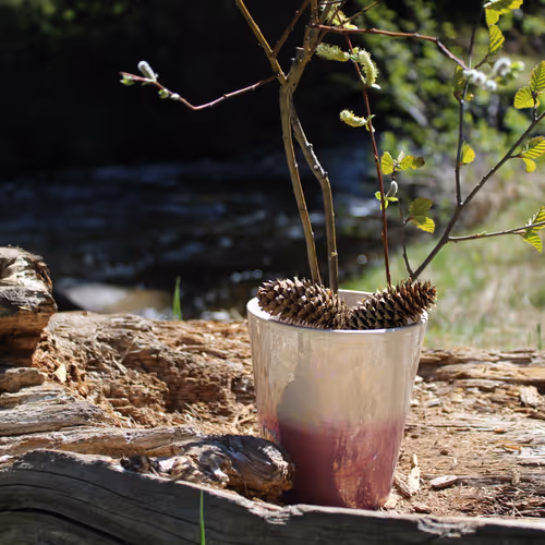 Ikedori Master Genesis