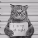Illegal Kitties