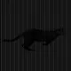 Illusion Animation