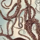 illustrationx