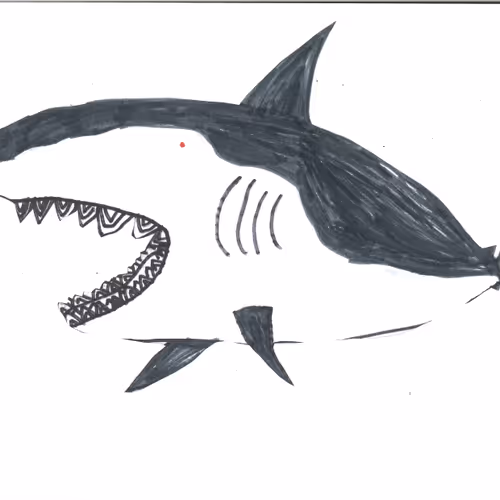 ilovemegalodon