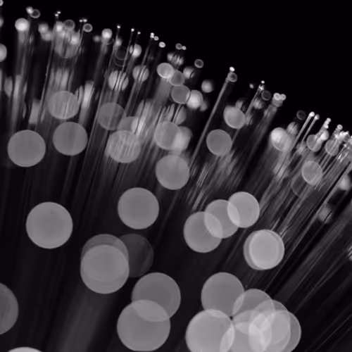 images are randomly generated