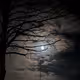 Images of Moon and Sun - old