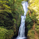 Images of Oregon - old V2