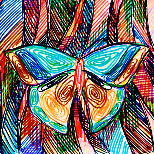 Imagine butterfly