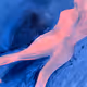 imintouart