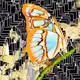 Immortal Psyche