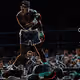 Immortal Sporting Greats - old