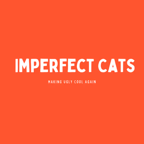 Imperfect Cats