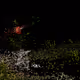 Impossible Encounters