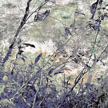 Impression by Stephan Ach