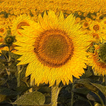 Impressions of Color