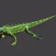 CryptoAnimalVibe3D - old