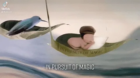 In Pursuit of Magic