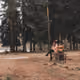 In the free forest