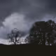 IN A CLOULDY DARK WORLD