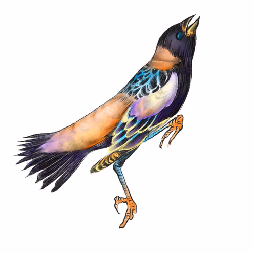 Inbetweencosmos - old