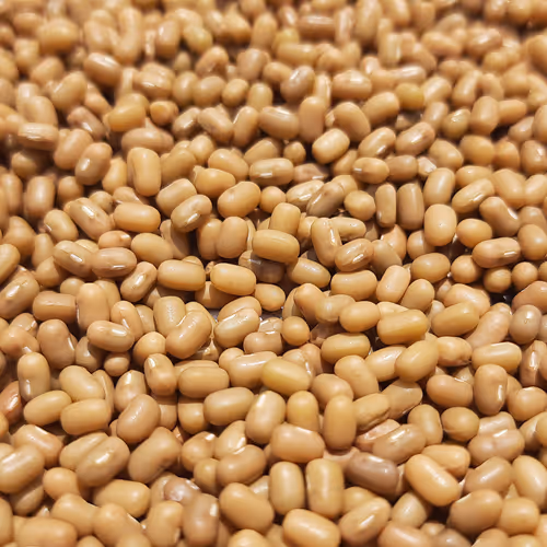 Indian seeds