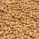 Indian seeds