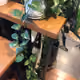Indoorplants #443797084