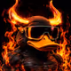 Inferno Quackers