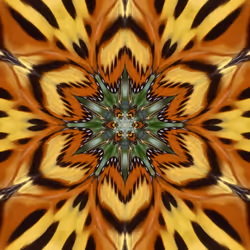 アイテム メディア プレースホルダー