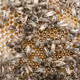 Infinite Insects