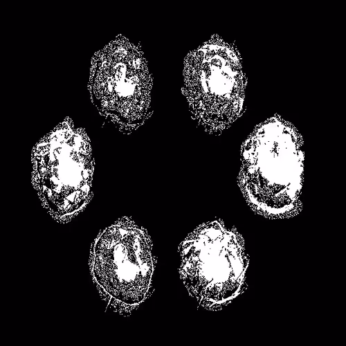 Infinity Generations