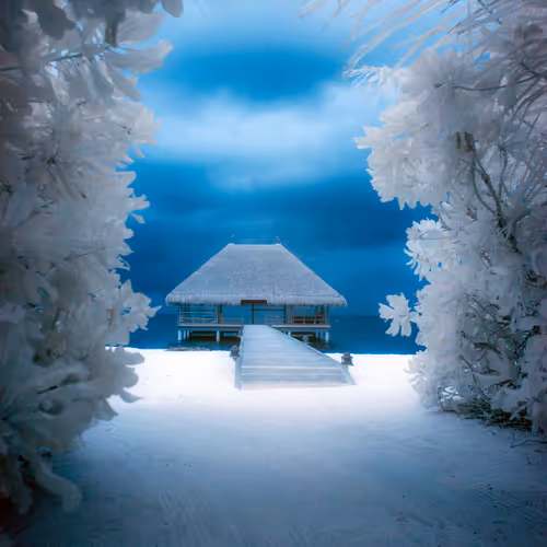 Infrared World by A. Alhasso